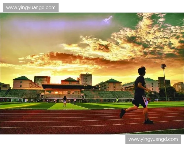 对外经济贸易大学体育部推动校园体育文化建设与创新发展研究